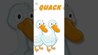 Il Suono Degli Animali Canzone #Shorts #Ytshorts #Trending #Rhymes #Animalsoundsong #Viral