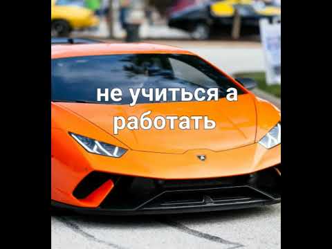 #sorts #учиться или работать?