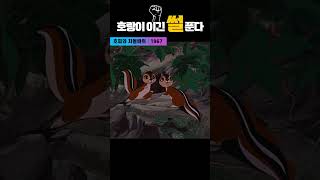 한국고전영화  호피와 차돌바위 (1967) 호랑이 이긴 썰 푼다