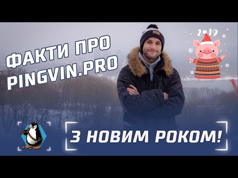 Цікаві факти про Pingvin.pro
