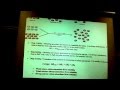Intermolecular Forces and Solubility Concepts