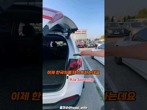 한국차는 오이를 살렸을까?