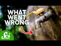 Flint Water Crisis Solutions and Impacts