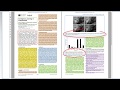 Research Paper Structure and Sections