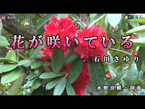 石川さゆり【花が咲いている】カラオケ