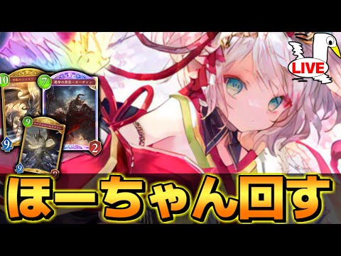 ほーちゃん時々裏切り人形 ダイマス～【 シャドバ ビヨンド シャドバWB ドラゴン ほーちゃん 】