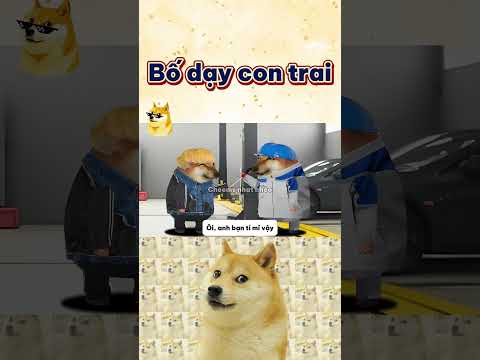 Bố dạy 1 câu, con nhớ suốt đời | Cheems nhạt nhẽo #cheems #funny #giaitri