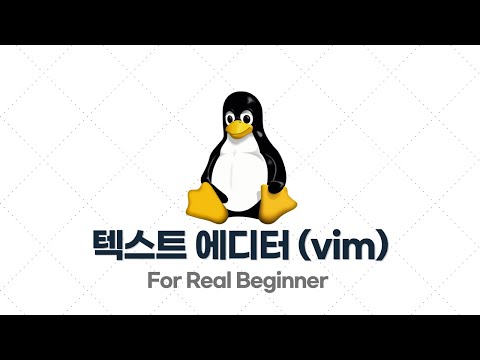 리눅스 입문·실전 - 3.1. 리눅스에서 가장 많이 사용하는 텍스트 에디터 (vim)