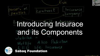 Introducing Insurace and its Components