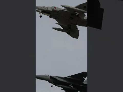 【良き後輩と】懐かしきファントム 岐阜基地へF-15とともに進入する引退間際のF-4EJ