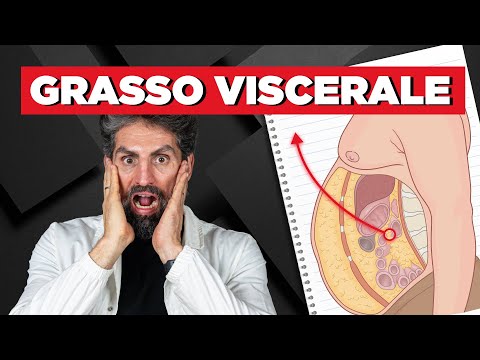 Come il GRASSO VISCERALE ti fa ingrassare