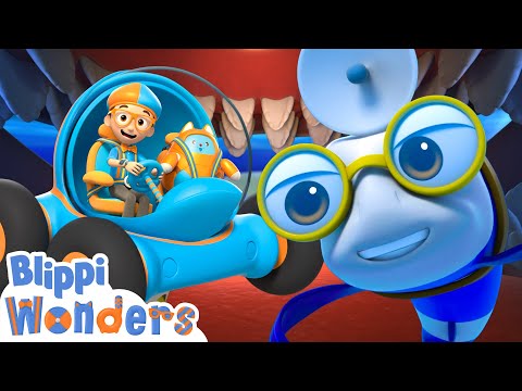 Say Hi to Blippi’s Ocean Buddies! 🐠🧡🌊 | Blippi Wonders Educational Videos for Kids