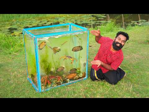 Beautiful Aquarium Made From Nature | തോട്ടിലെ സാദനങ്ങൾ ഉപയോഗിച്ച് ഉണ്ടാക്കിയ അക്വാറിയം | M4 Tech |