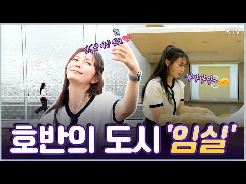 푸르른 자연을 품은 ‘임실’ 힐링 여행 코스 #임실 #여행 #<strong>국내여행</strong> #임실여행 #옥정호 #출렁다리 #치즈테마파크