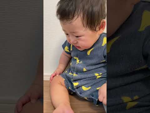 動き出したロボット掃除機!ちょっと迷惑そう😂 #赤ちゃん #ルーロ #ロボット掃除機 #Panasonic #shorts