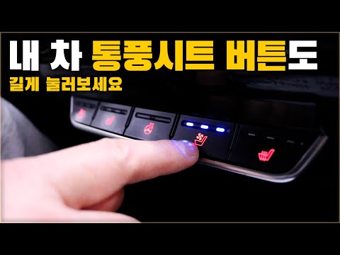 운전자 대부분이 몰라서 안쓰는 통풍시트 버튼의 숨겨진 기능 [ 차업차득 ]