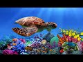 Stop Overthinking - Beautiful Relaxing Music for Stress Relief, Mindful Escapes, Calm Your Mind #2