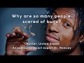 Understanding Bugs and Overcoming Fear