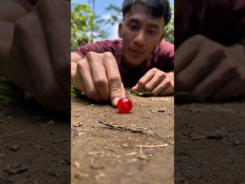 Fascinating! The millipede finally appeared when I put down a candy stick#shortsvideo#millipedes