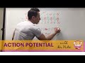 Understanding Action Potentials in Neuroscience