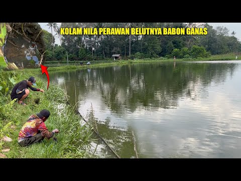 BEGINI JADINYA KALAU SPOT BELUM TERJAMAH PEMANCING LAIN