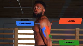 The Only 2 Exercises You Need for Huge TRICEPS