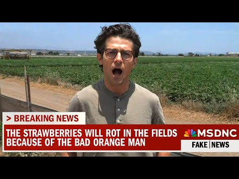 If We Send Them All Back... WHO WILL PICK THE CROPS?!