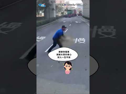 【好人一生平安】浪浪遭路殺...駕駛自發擋車守護！司機大哥暖心抱離車道 #shorts