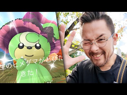 きたきたきた！！！色違いヒメグマ！！2匹ぃい！？？【ポケモンGO】