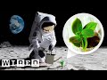Plant Growth in Moon Regolith