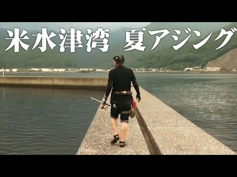 豆アジを回避してサイズアップを目指す!夏のアジング攻略法 2/2 『アジングへ行こう! 11』【釣りビジョン】