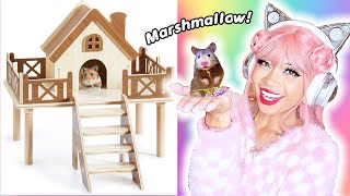 BUYiNG CUTE STUFF FOR MY HAMSTER!