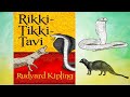 Exploring Rikki-Tikki-Tavi: Key Insights from Paragraphs 1-37