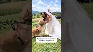 Wait... That’s NOT Their Dog! (Hilarious Wedding Fails) 😂