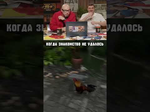 Побег из курятника!