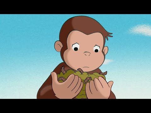 Como é Viver na Terra? 🐵 George, o Curioso 🐵 Desenhos Animados