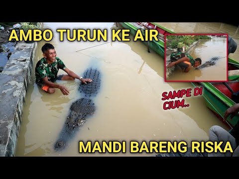 saatnya berani‼️ ambo nekat turun keair meluk riska,terbukti hanya riska buaya baik di habitat liar?