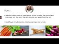 Plant Parts and Their Functions