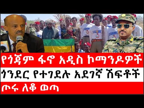 Ethiopia: ሰበር ዜና - የኢትዮታይምስ የዕለቱ ዜና |የጎጃም ፋኖ አዲስ ኮማንዶዎች|ጎንደር የተገደሉ አደገኛ ሽፍቶች|ጦሩ ለቆ ወጣ