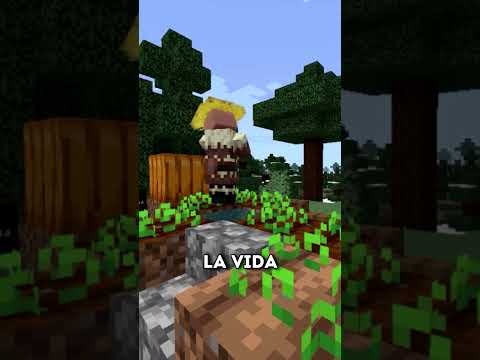 ESTO PASA SI MATAMOS A TODOS LOS ALDEANOS EN MINECRAFT! 😦 #shorts