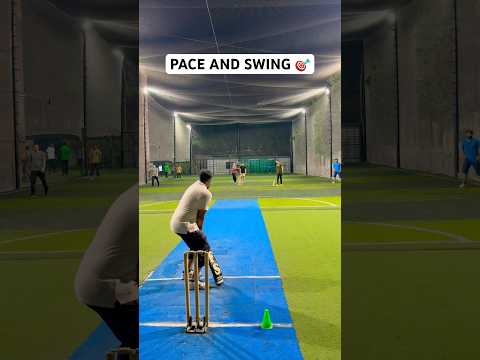 Cricket Bowling Pace And Swing 🔥 Batsman Bowled By Sheer Speed And Length Ball 🏏 #cricket #shorts