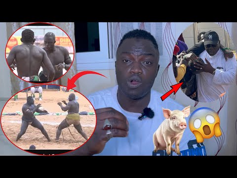 Kawtef: la première action de 5Tonne après combat Sa Thiès vs Zarko et la défaite fils de tigre….