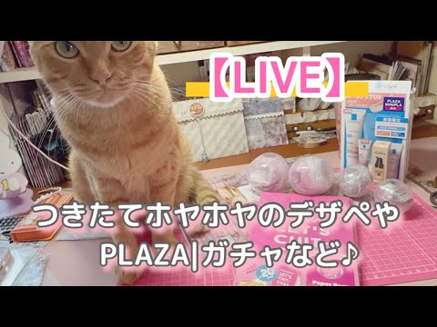 【 LIVE配信】購入品やガチャ開封などなど♪