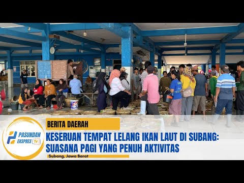 Keseruan Tempat Lelang Ikan Laut di Subang: Suasana Pagi yang Penuh Aktivitas