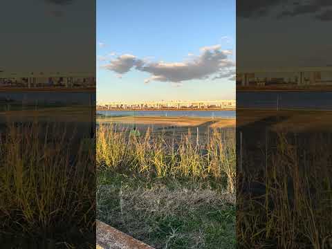 ある日の風景 #004