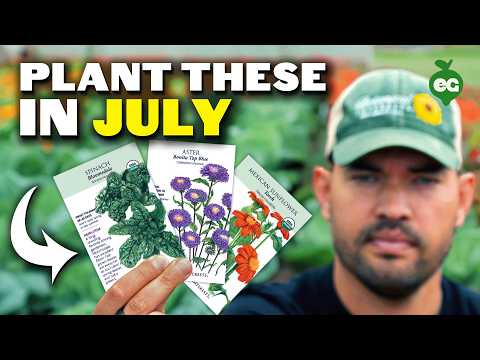 11 Crops You Can STILL Plant in July 🌱