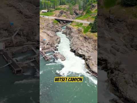 Witset Canyon #fishing #canadatour #canadawildlife