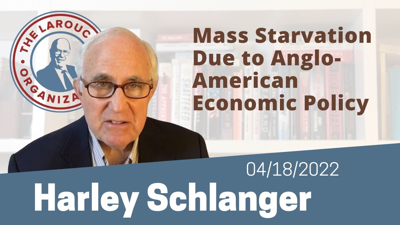 We Are Moving from Food Insecurity to Mass Starvation Due to Anglo-American Economic Policy￼