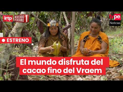 Del Vraem al mundo: el cacao peruano conquista los mercados más exigentes | “Mercado peruano”