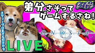 Vtuber柴犬スティーブと遊ぼう!!!【グノーシア】